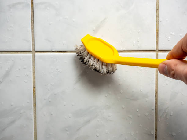 Best Post-Remediation Services in Beckett, NJ